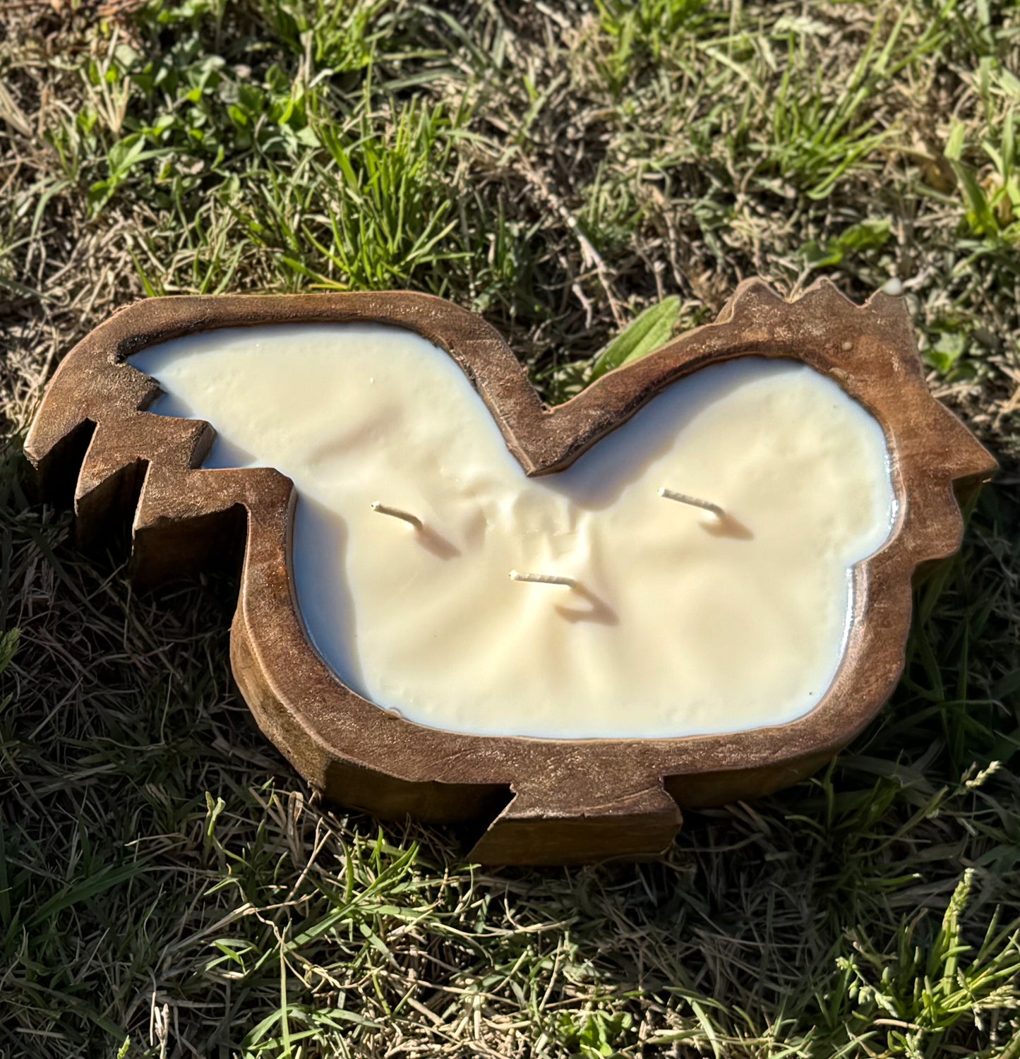 Chicken Dough Bowl