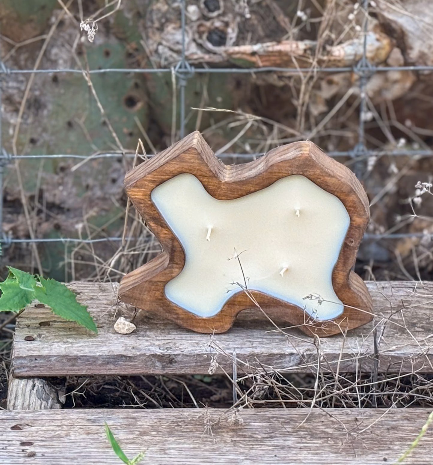 Mini Texas
